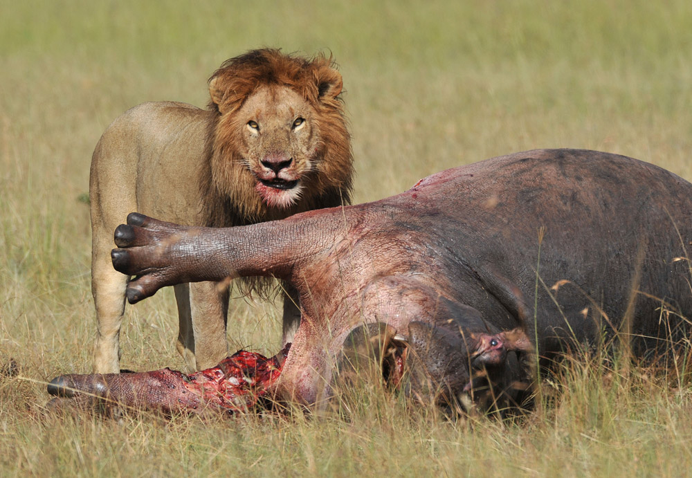 eating