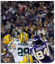 Vikes-07