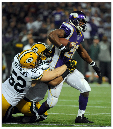 Vikes-11