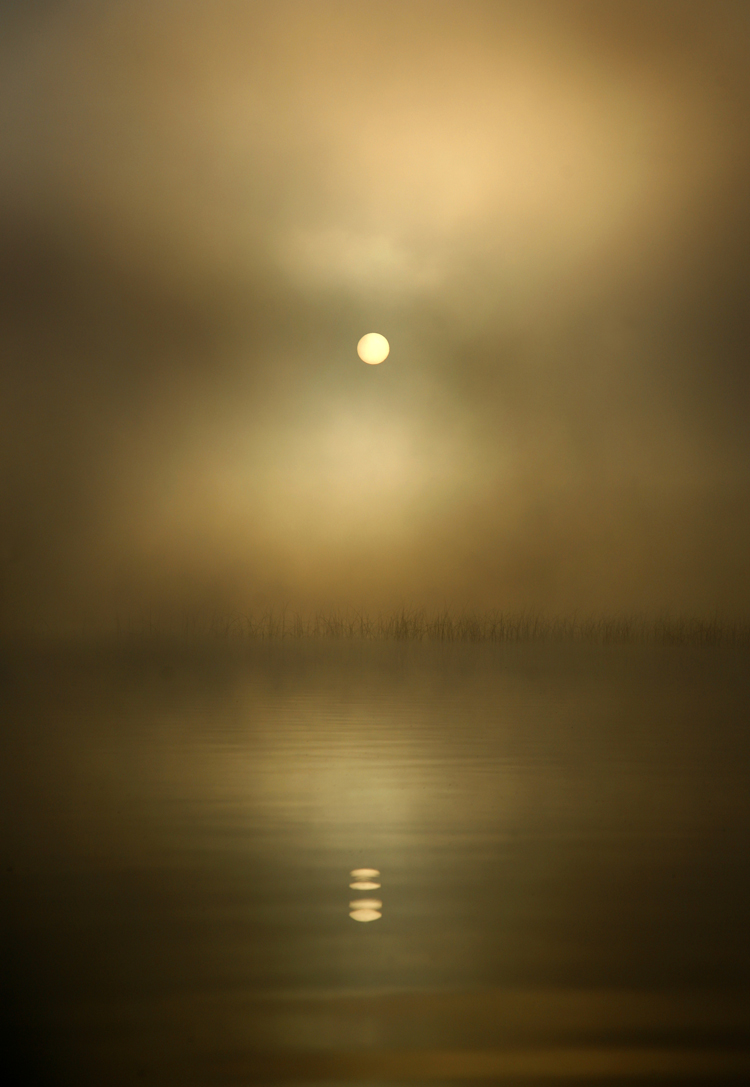 fog and sun